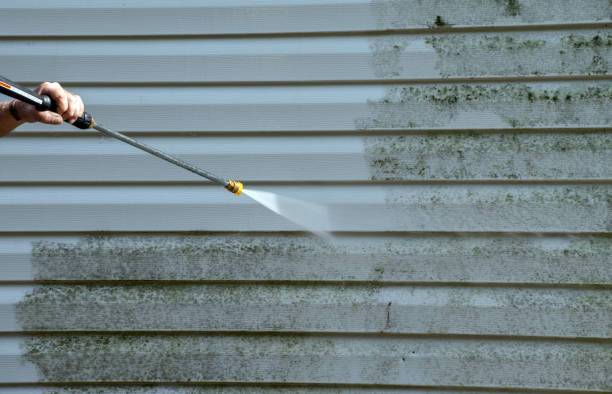 Professional Pressure washing in Thruston, KY